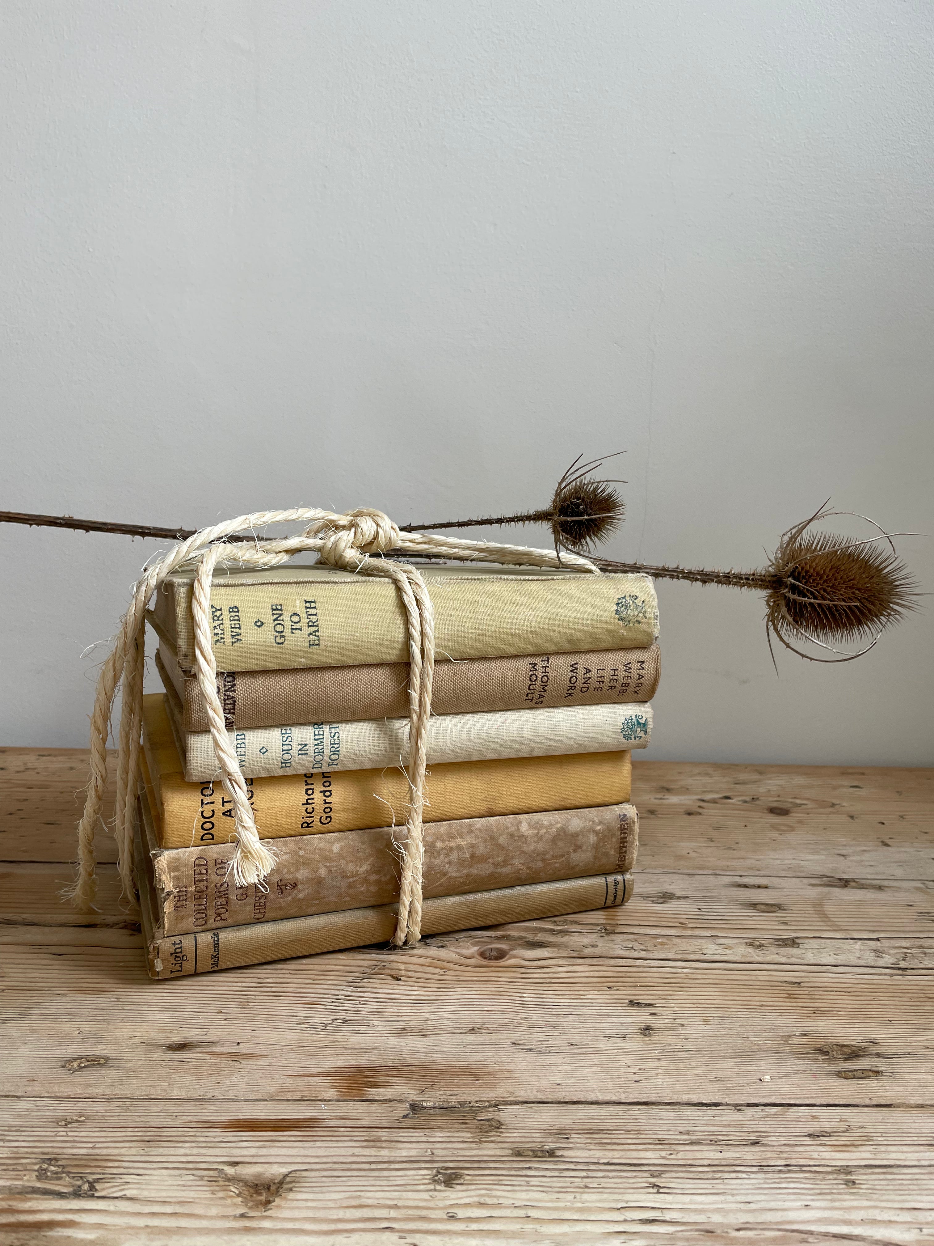 Beige Book Bundle