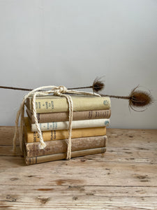 Beige Book Bundle