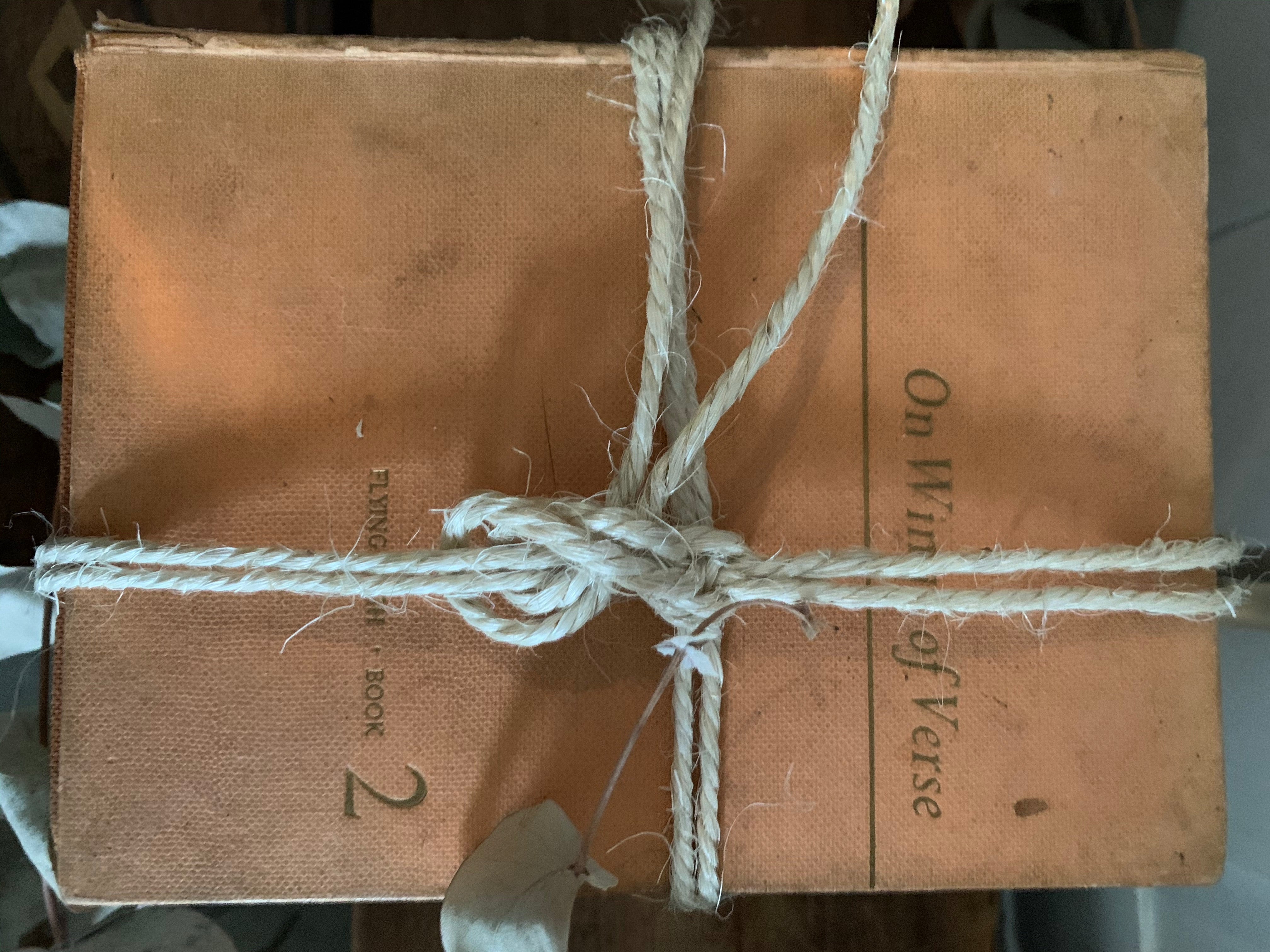 Beige and Orange Book Bundle
