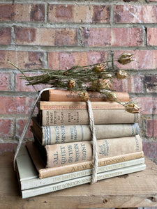 Neutral Hues Book Bundle with orange detail