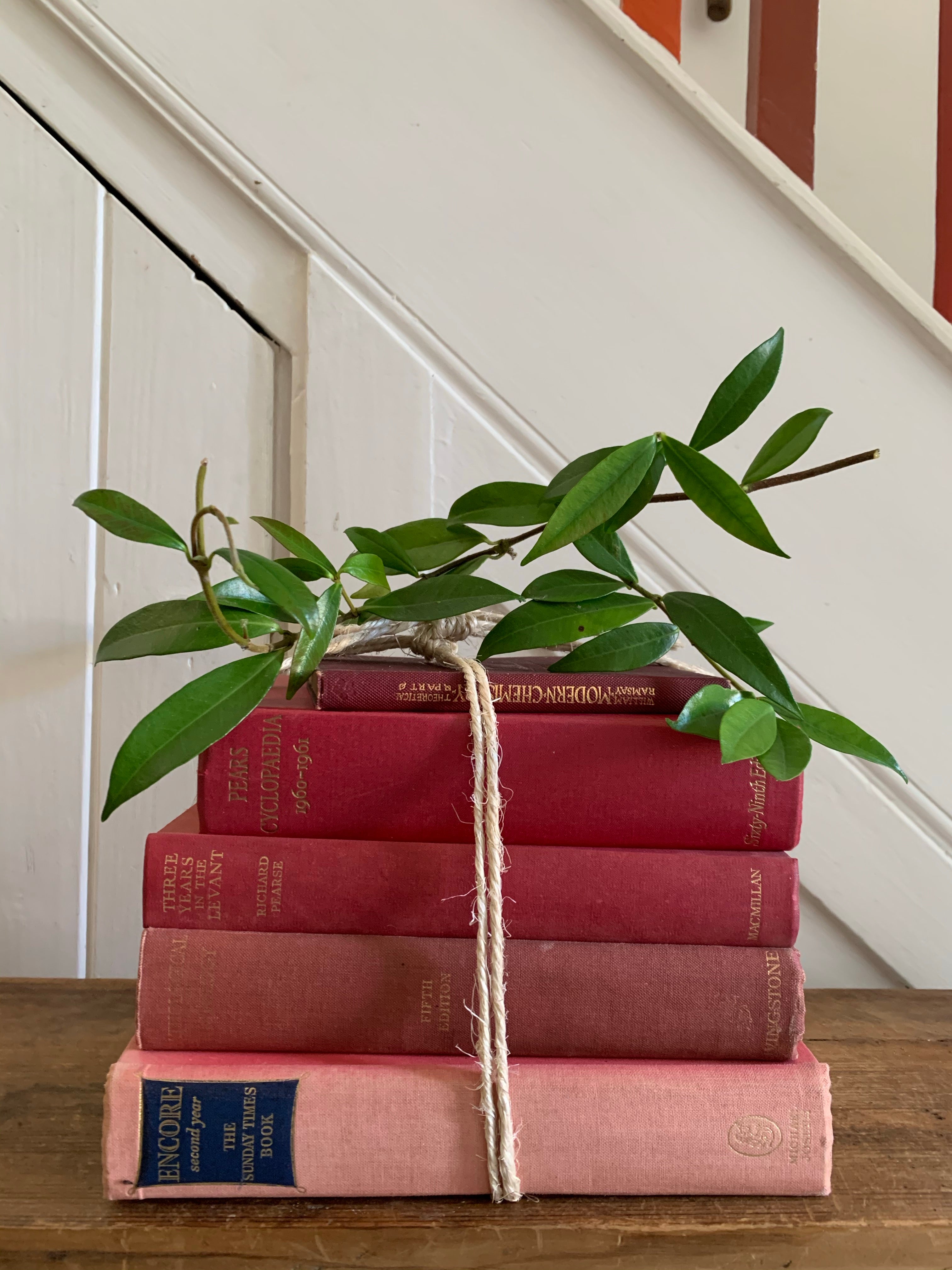 Red Book Bundle