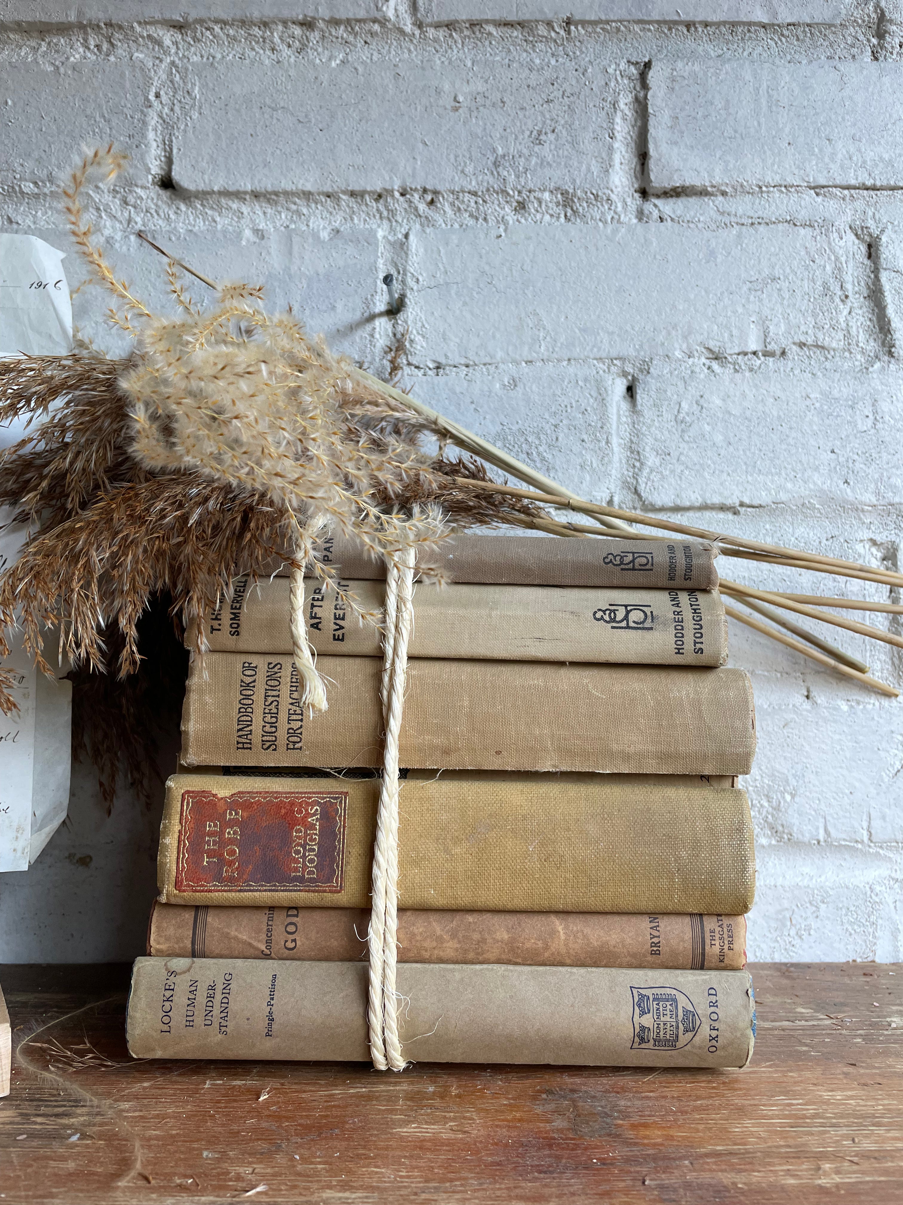 Beige Book Bundle