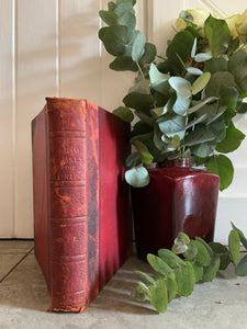 1950s Animal Encyclopaedia with Leather Spine