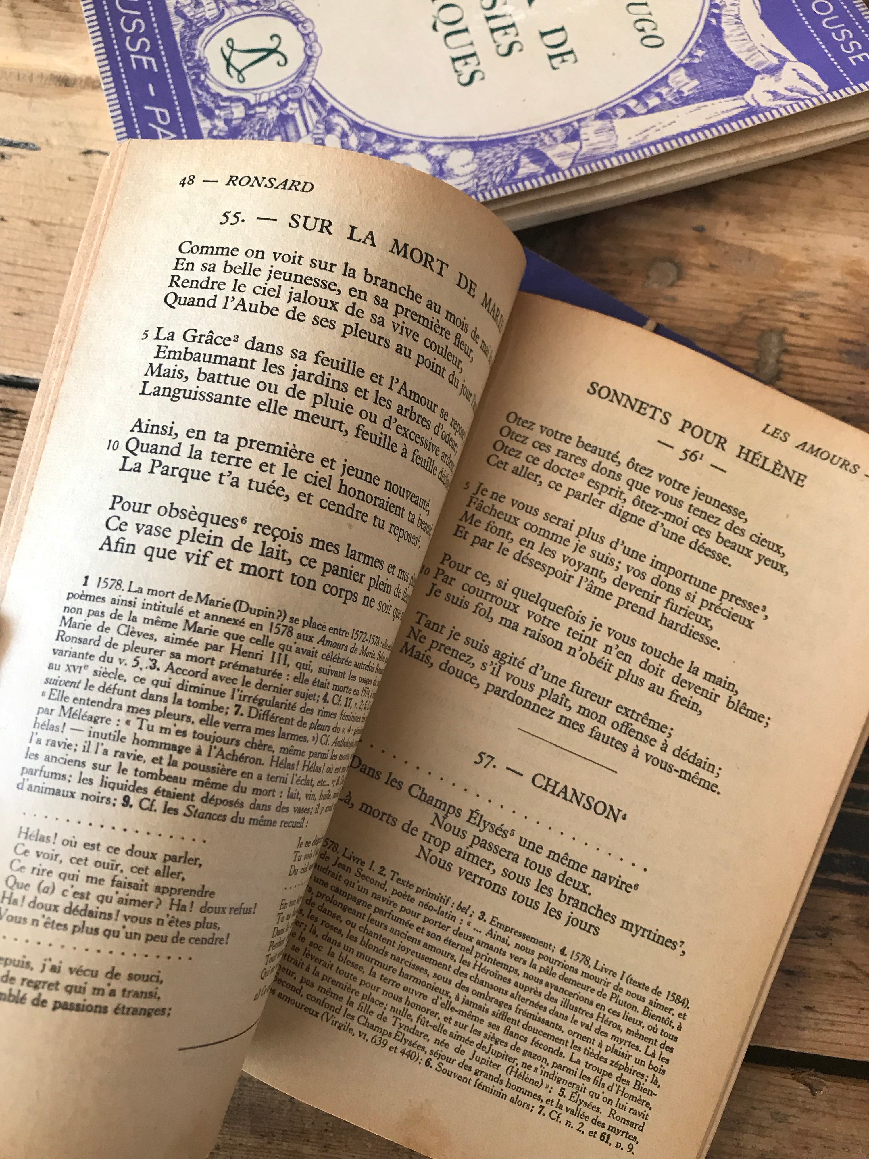 Little French Vintage Books - set of 3