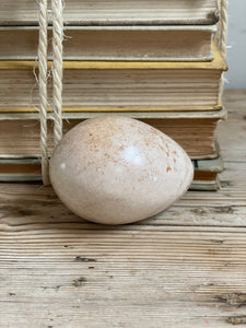 Marble Egg 6