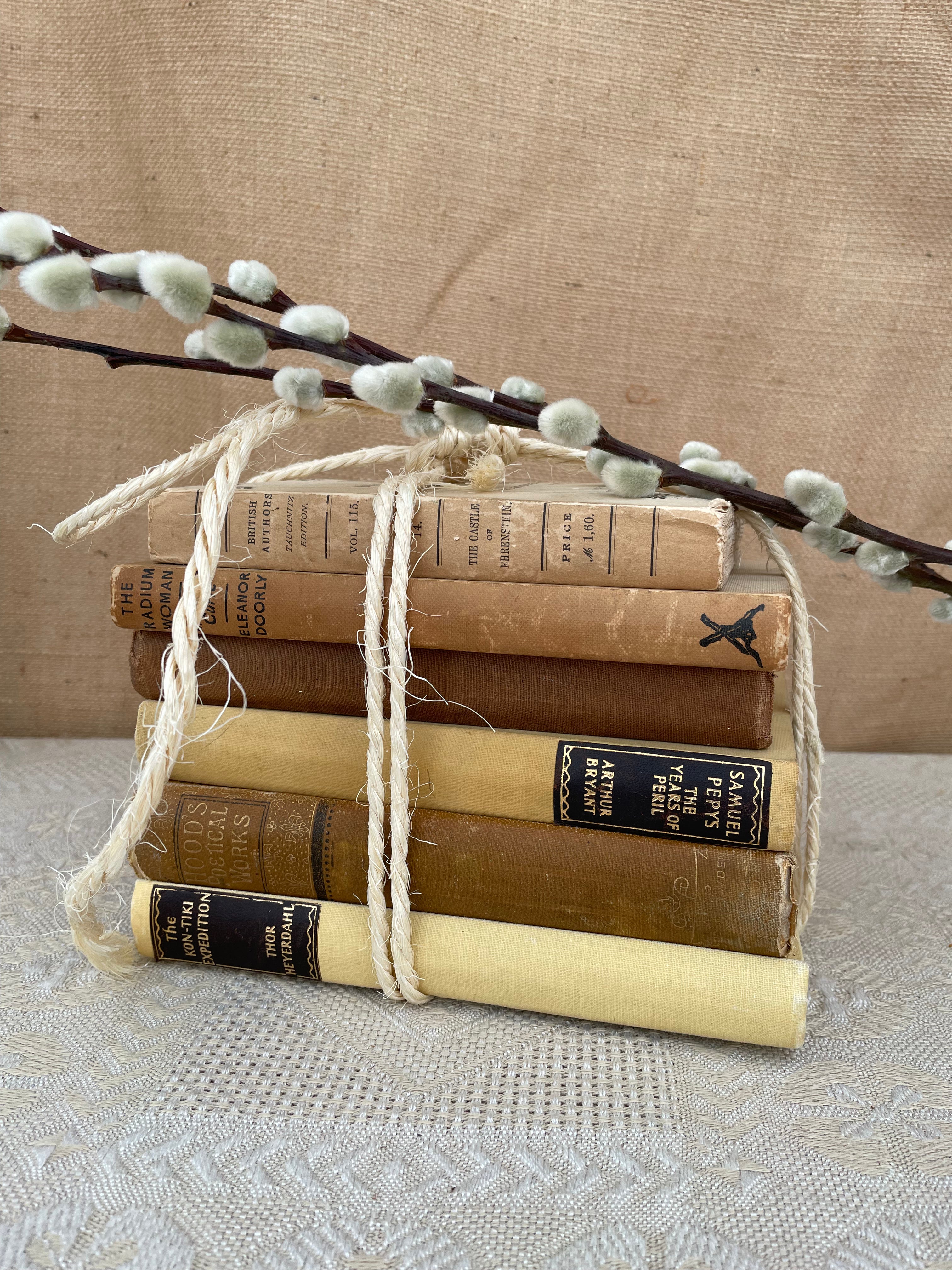 Beige Book Bundle
