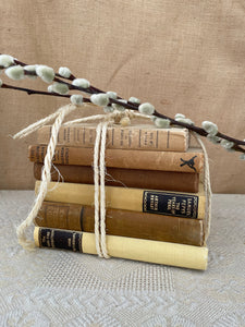 Beige Book Bundle
