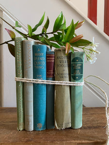 Green & Blue Book Bundle