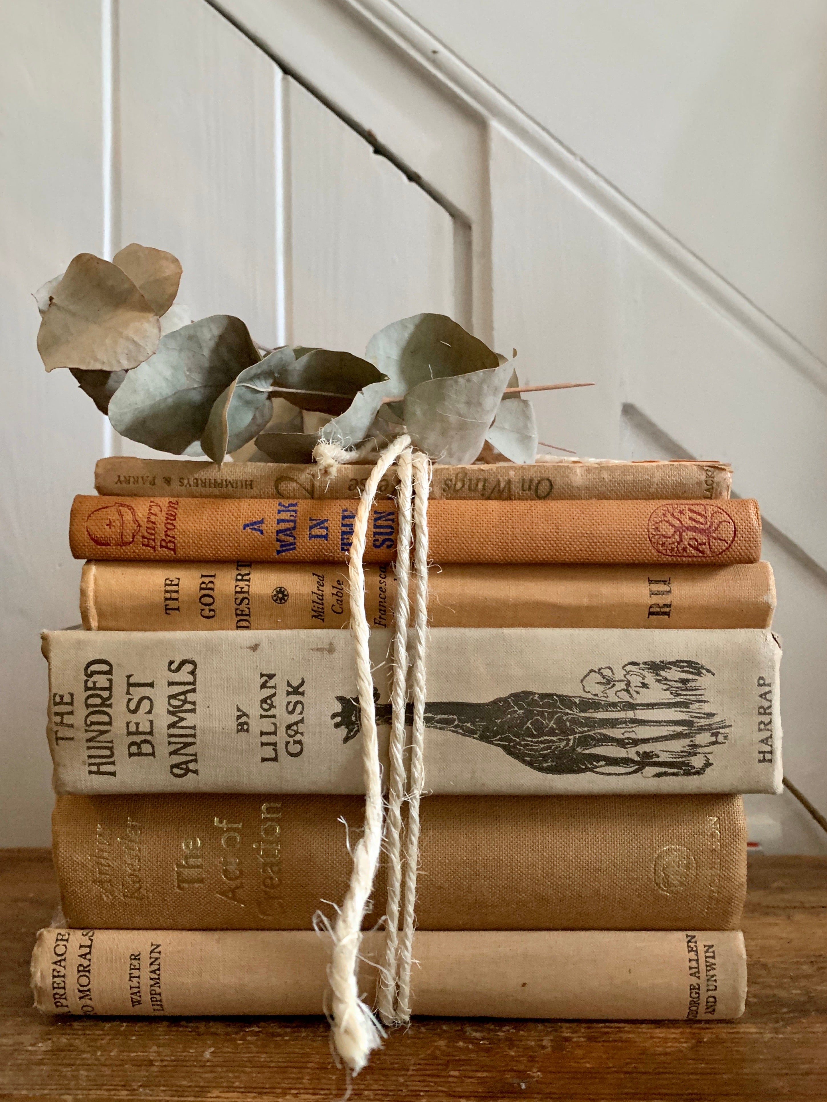 Beige and Orange Book Bundle