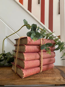 Red Book Bundle: The Waverley Novels