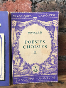 Little French Vintage Books - set of 3