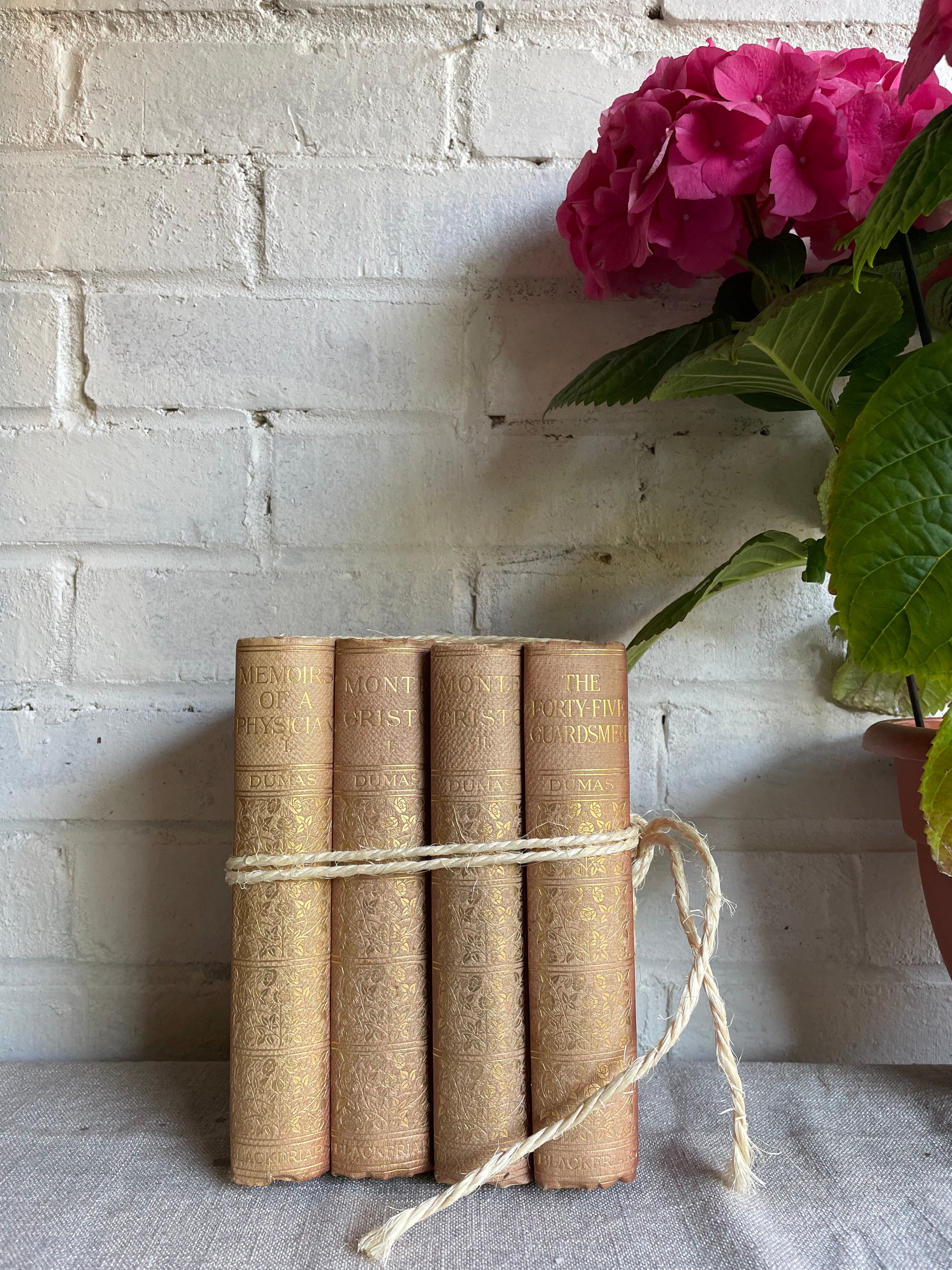 Pink and Gold Book Bundle