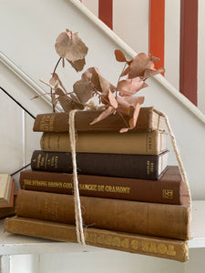 Beige Book Bundle 2