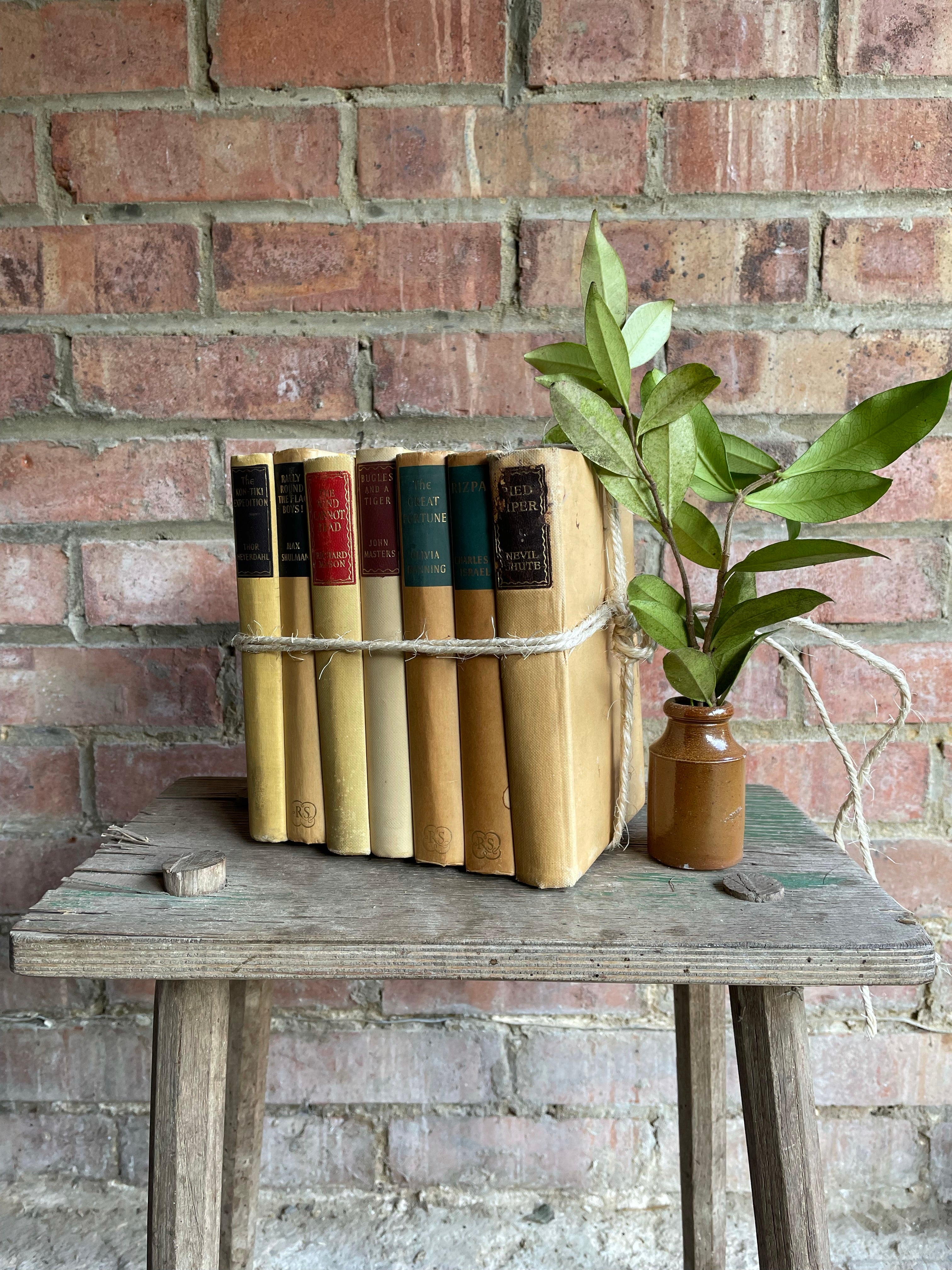 Vintage Neutral/Yellow Book Bundle