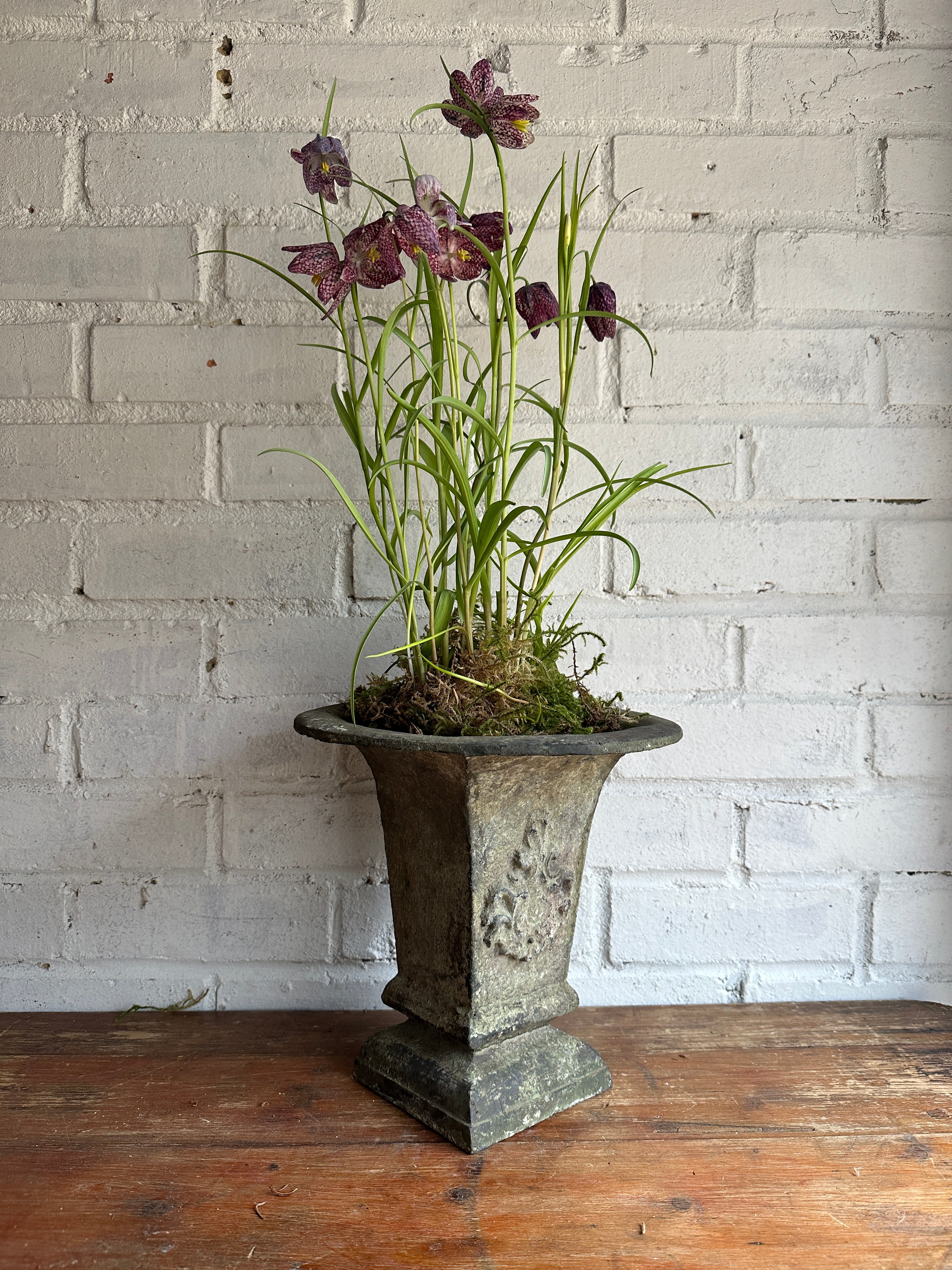 Iron Planter with Fleur de Lis Decoration