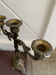 French Gilt Candelabra