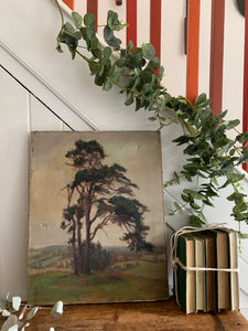 Moody Tree:  Antique Oil on Canvas signed 1915