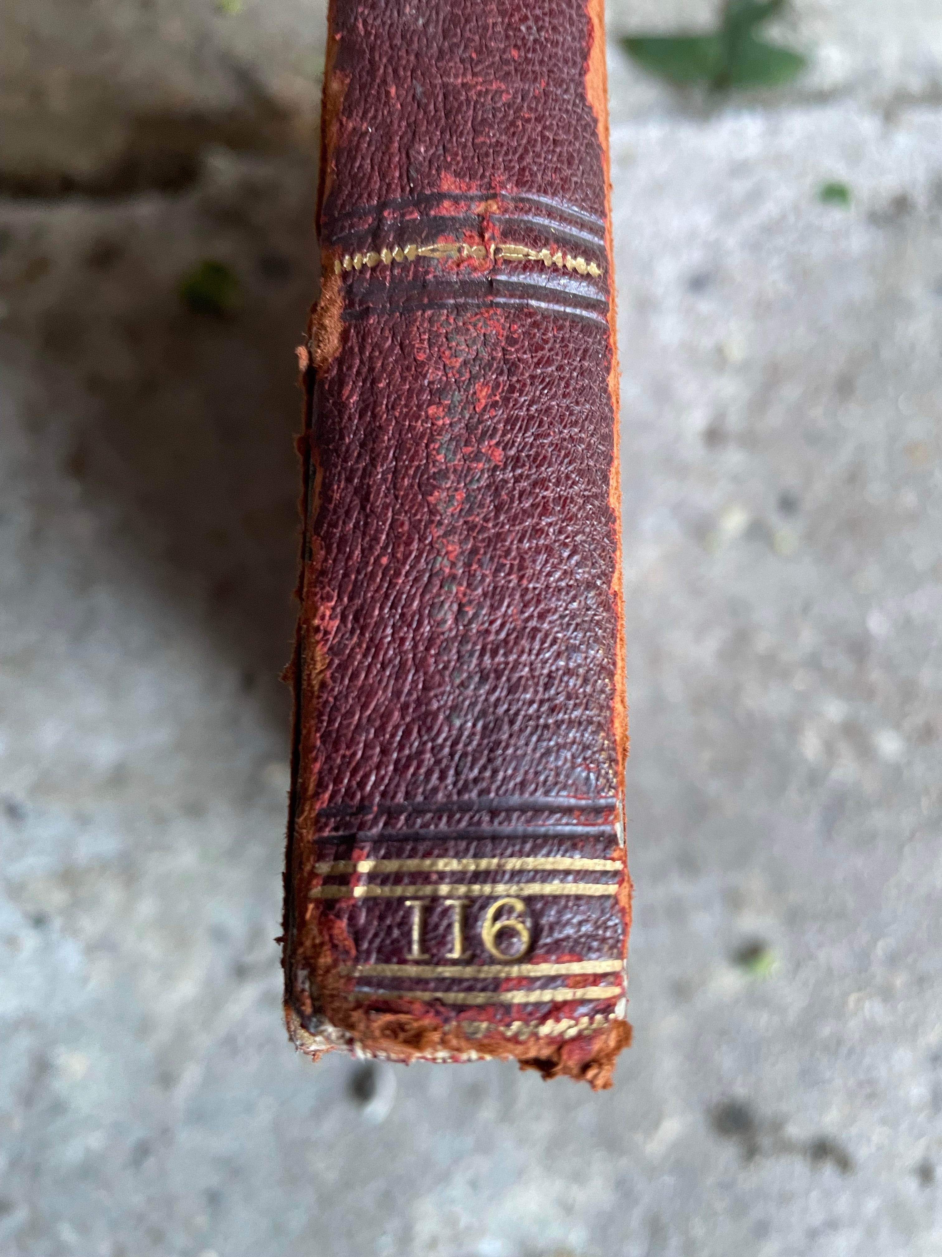 1899 “Punch” Annual Vol 116