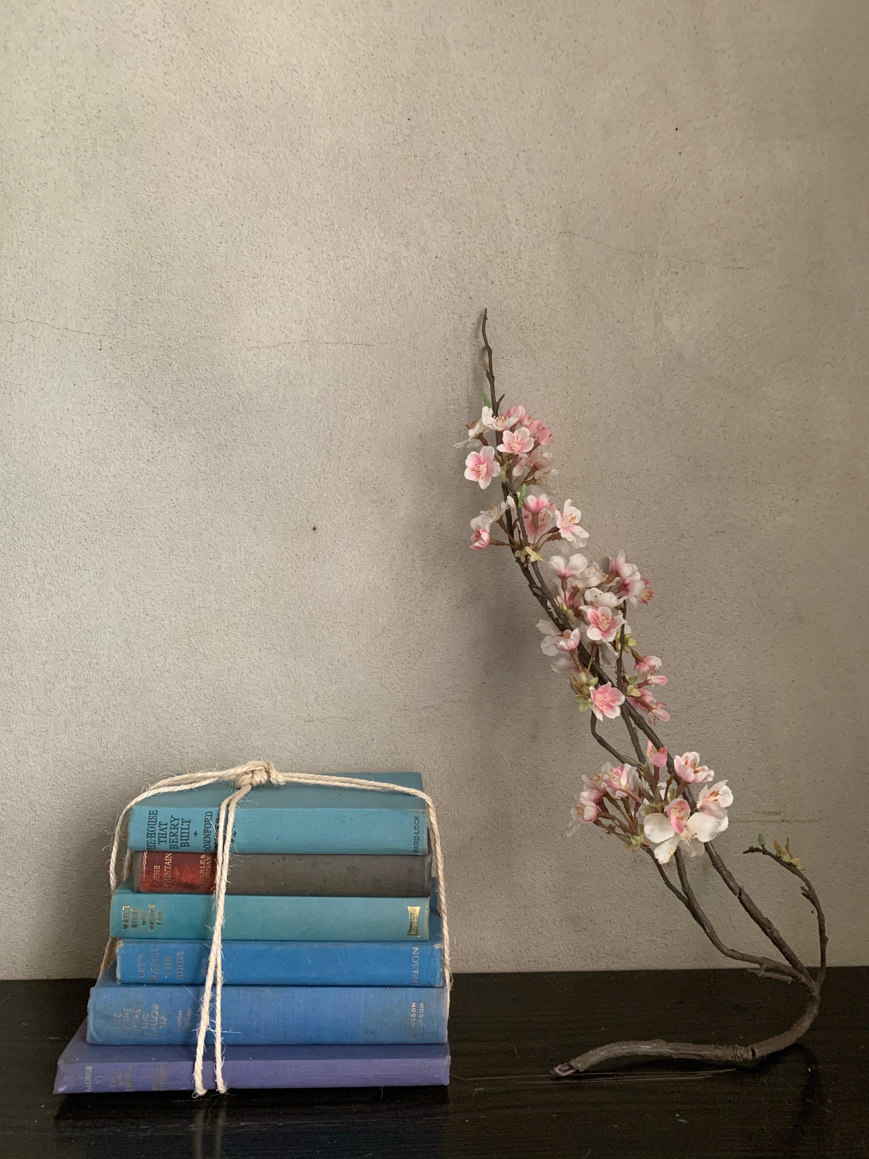 Blue Hues Book Bundle