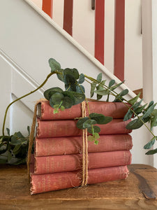 Red Book Bundle: The Waverley Novels