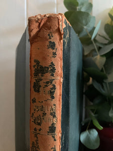 Large 1900s “Coffee Table” Book with Leather Spine
