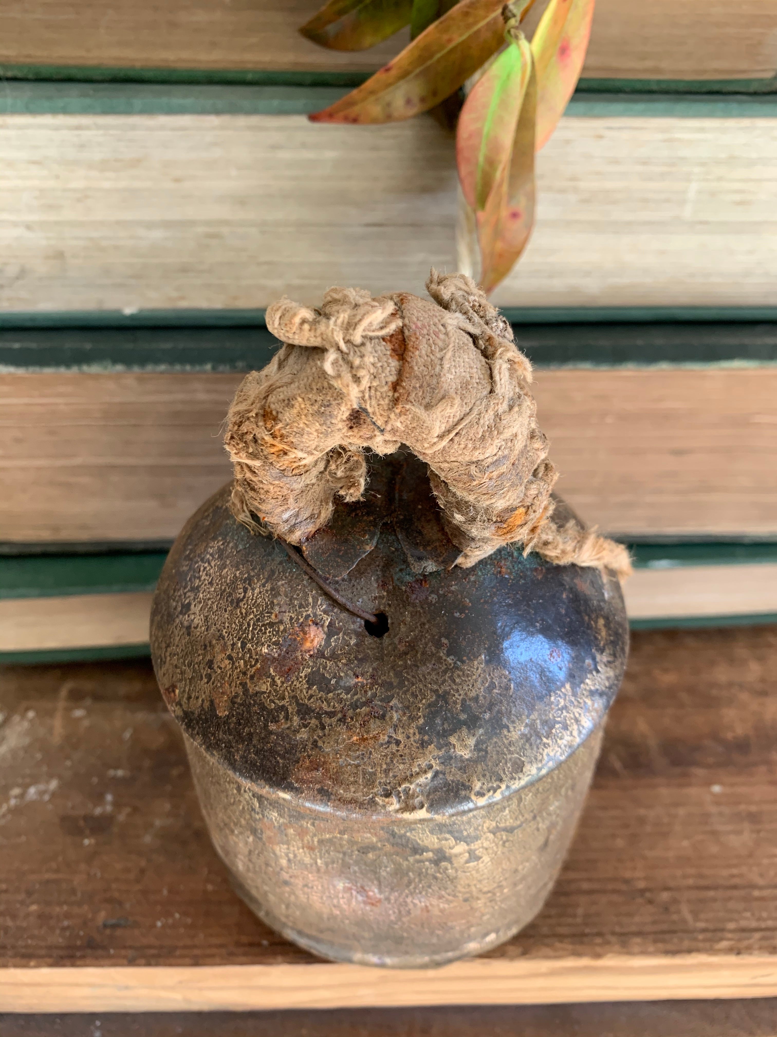 Old Iron Cow Bell 1