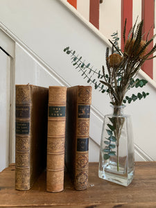 Trio of Old Marbled Books with Leather Spines