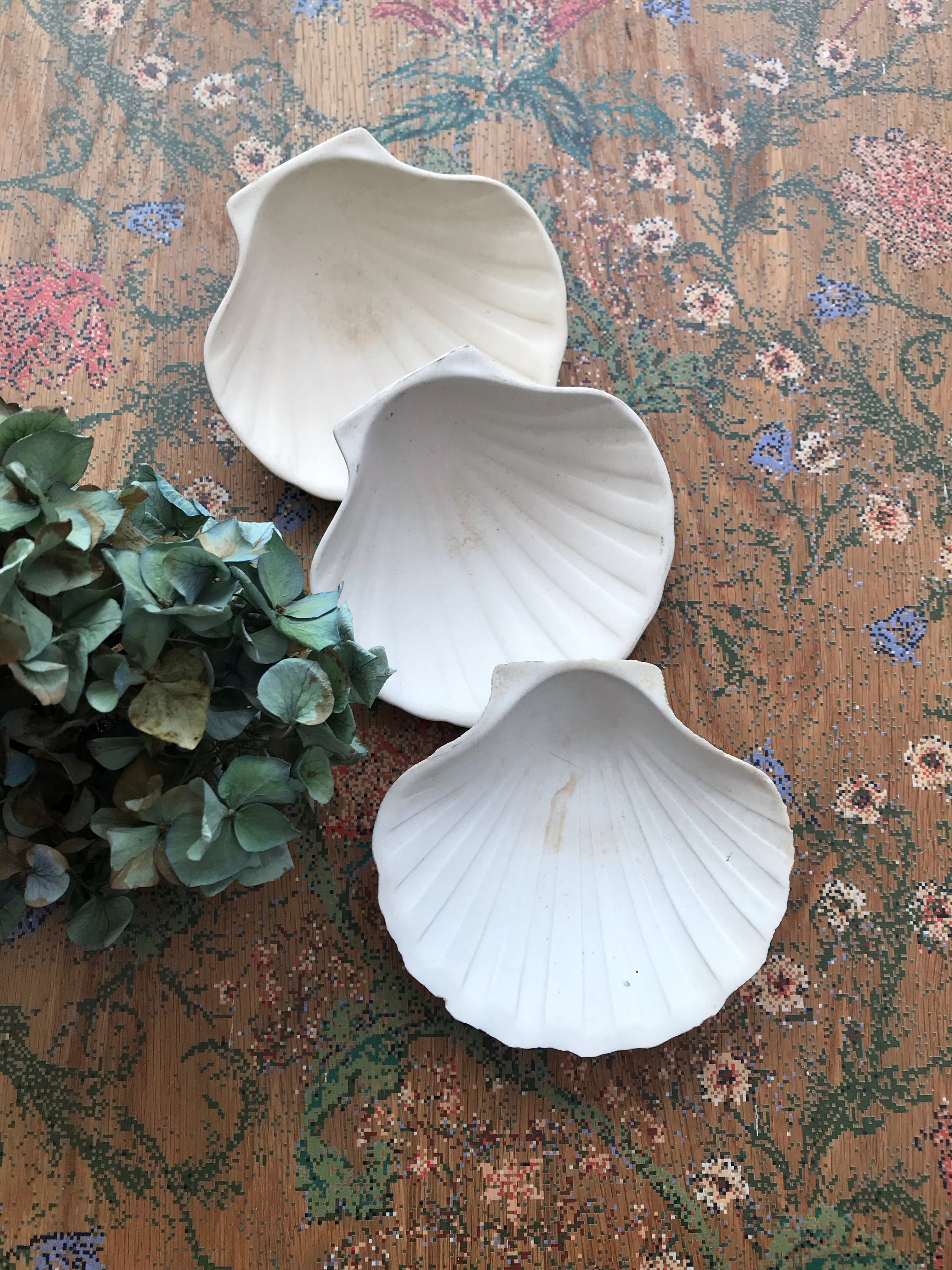 Trio of French vintage bisque porcelain scallop dishes