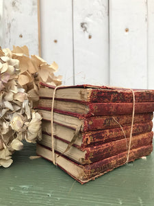 Trio of 1900s Mini Shakespeares