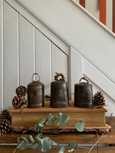 Old Iron Cow Bell 2