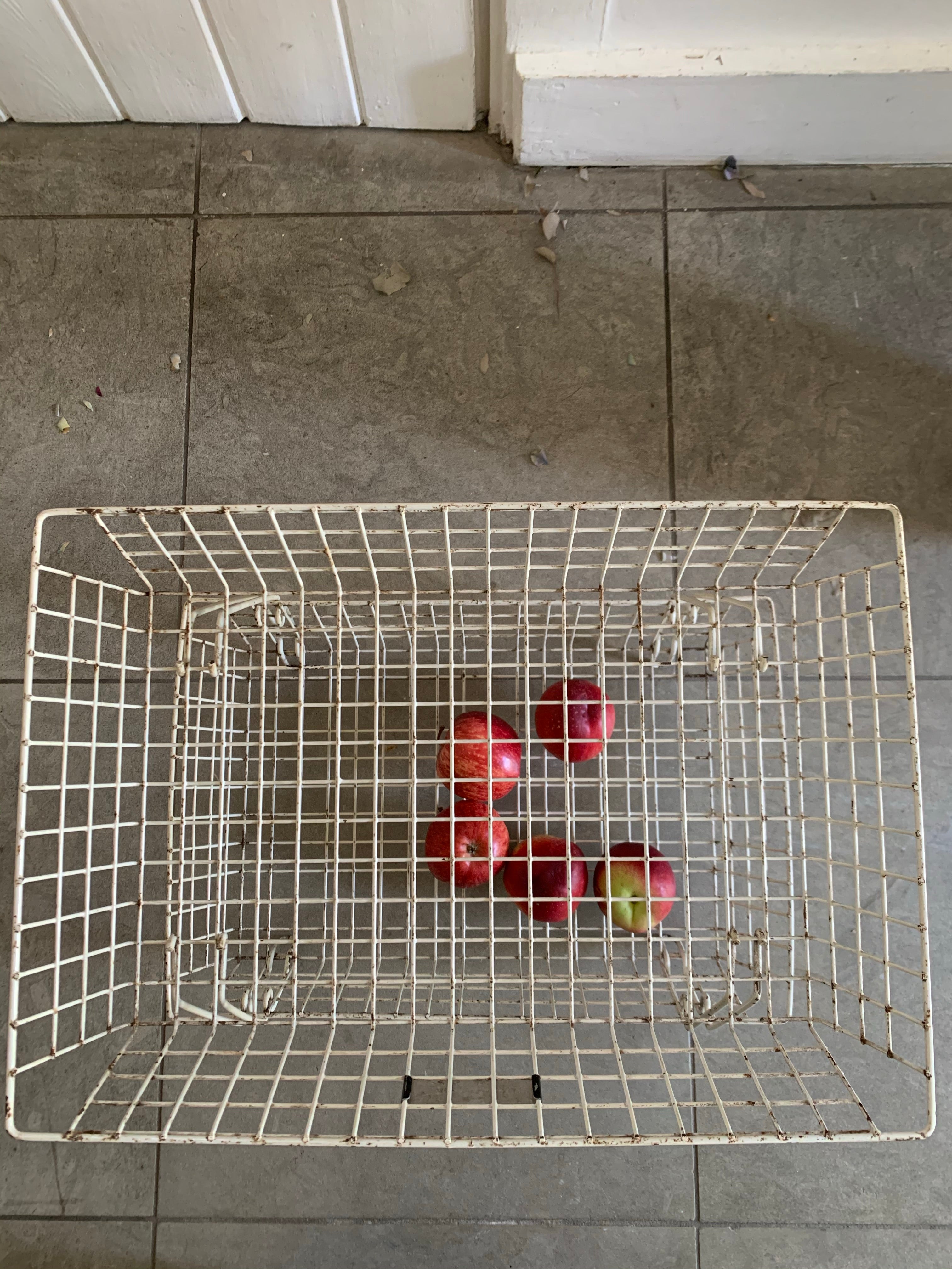 Vintage Beanstalk Extending Wire Rack