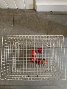 Vintage Beanstalk Extending Wire Rack