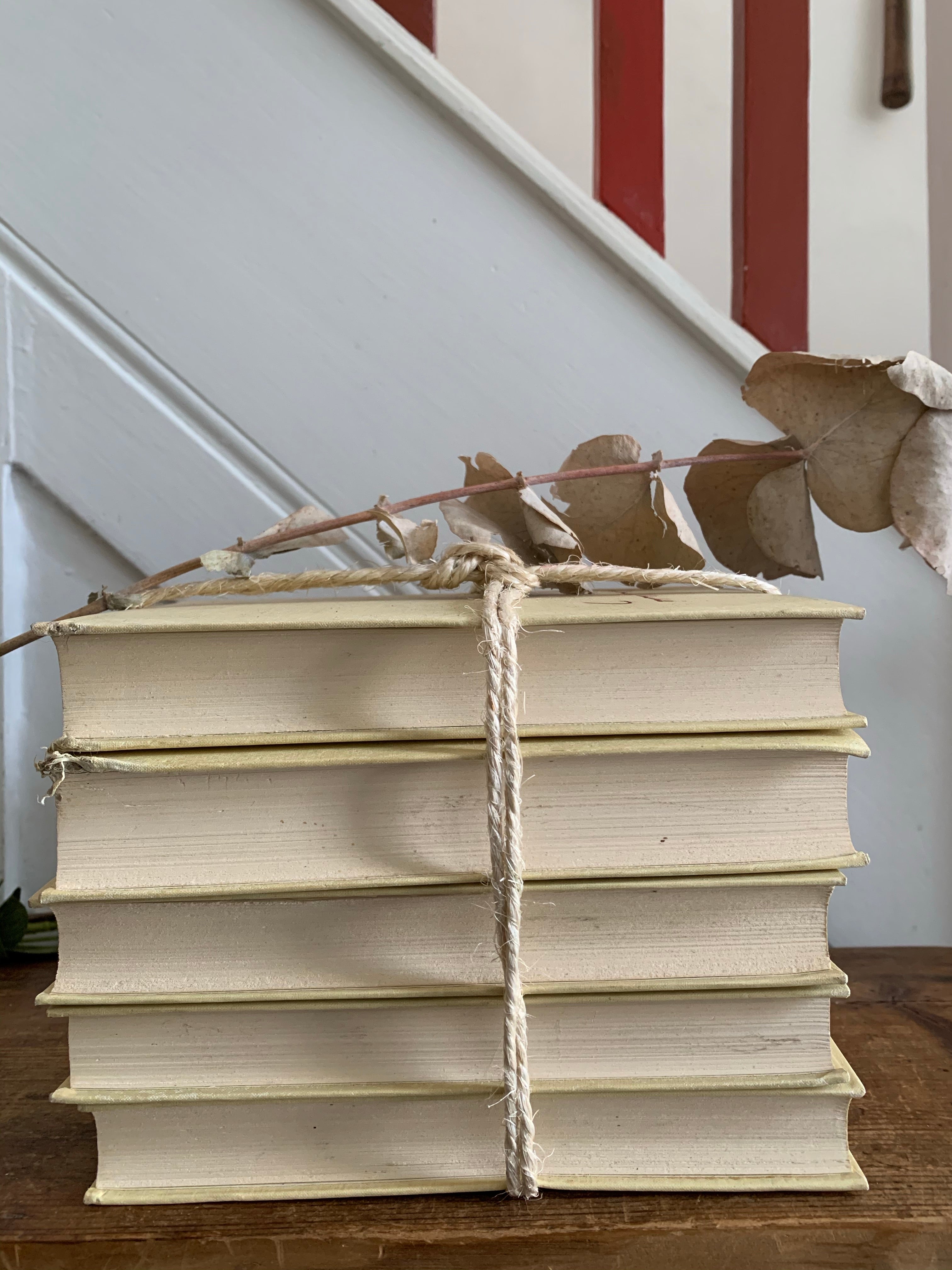 Cream & Red Book Bundle