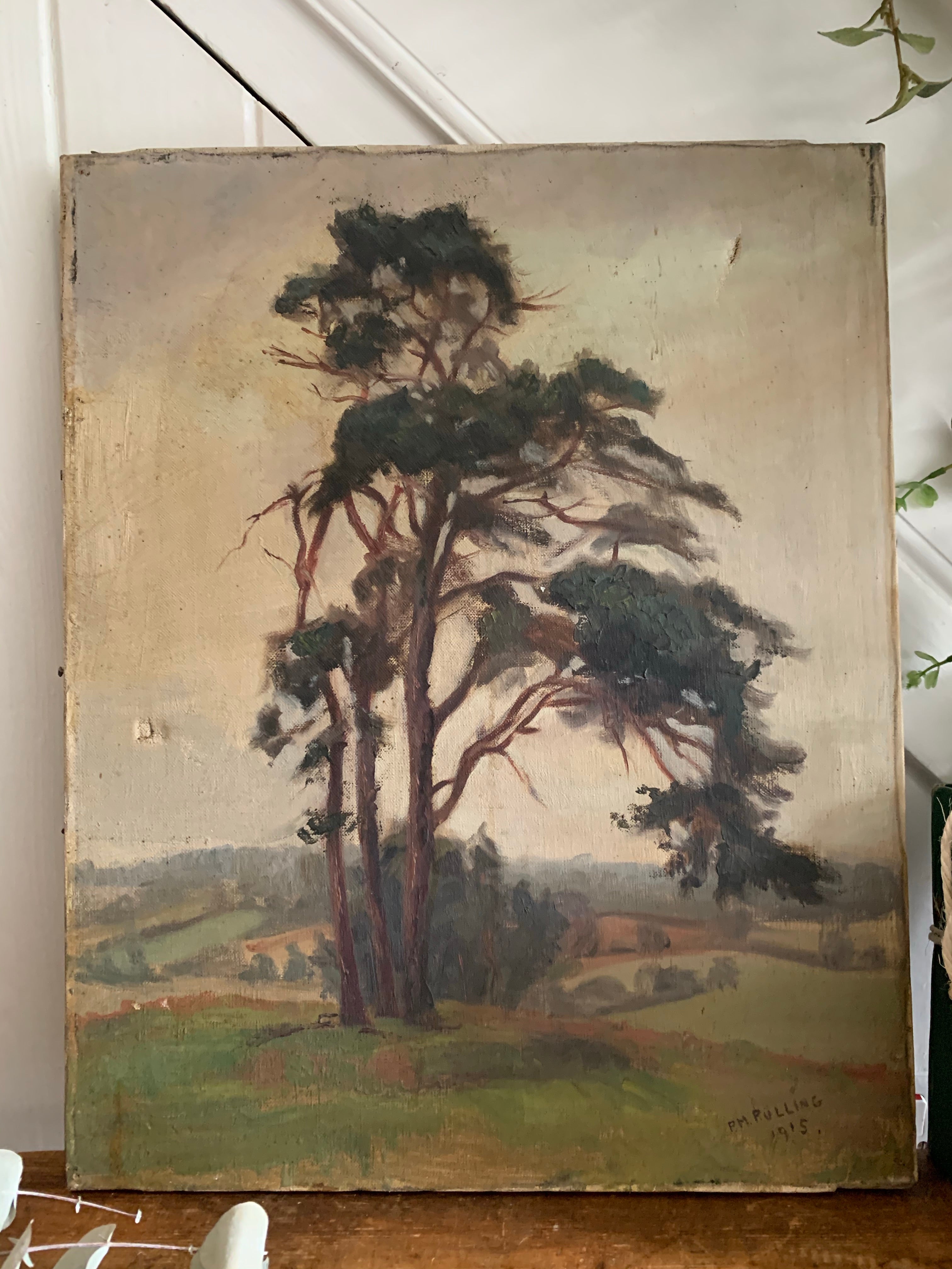 Moody Tree:  Antique Oil on Canvas signed 1915