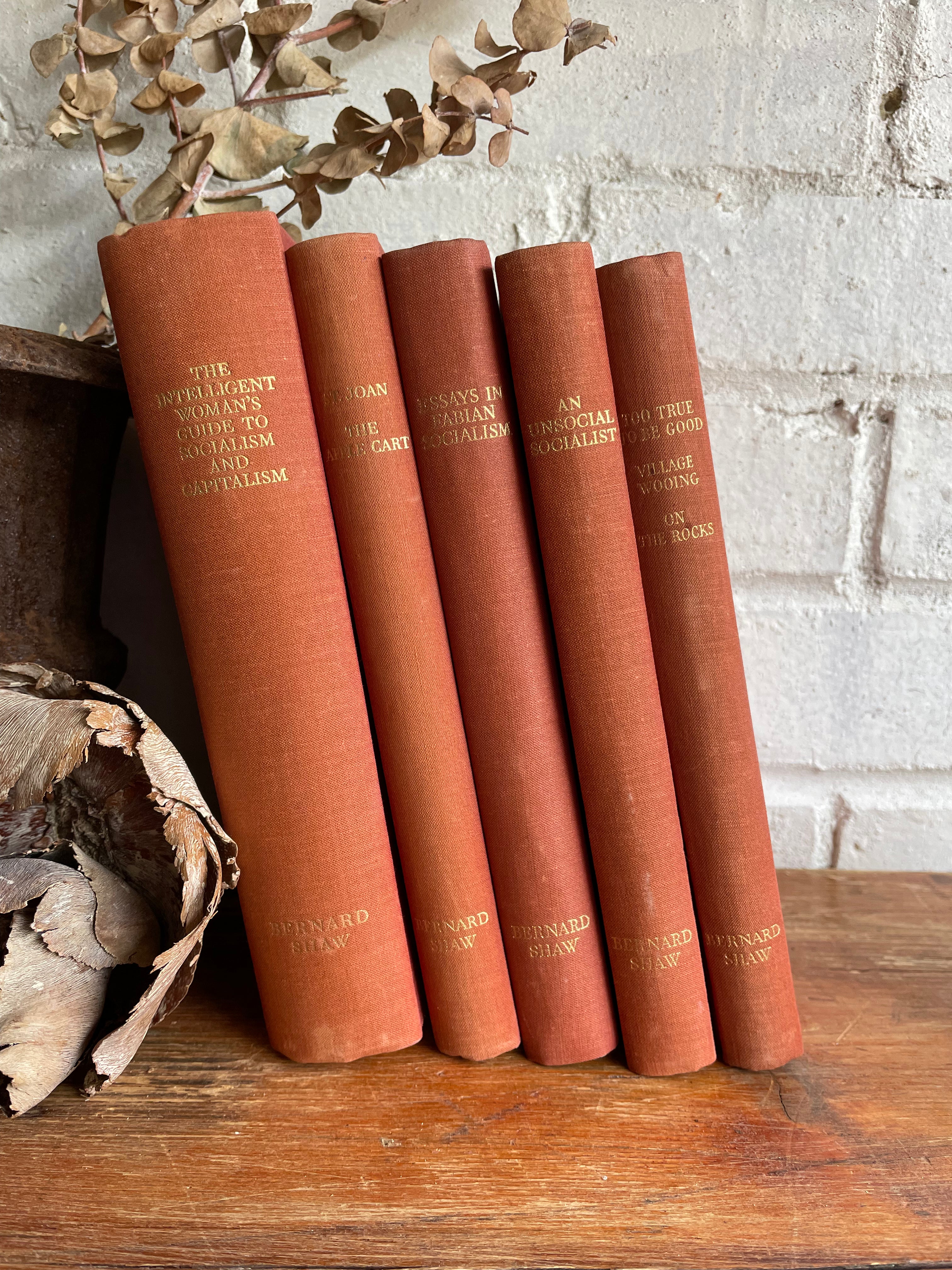 Bernard Shaw Book Bundle
