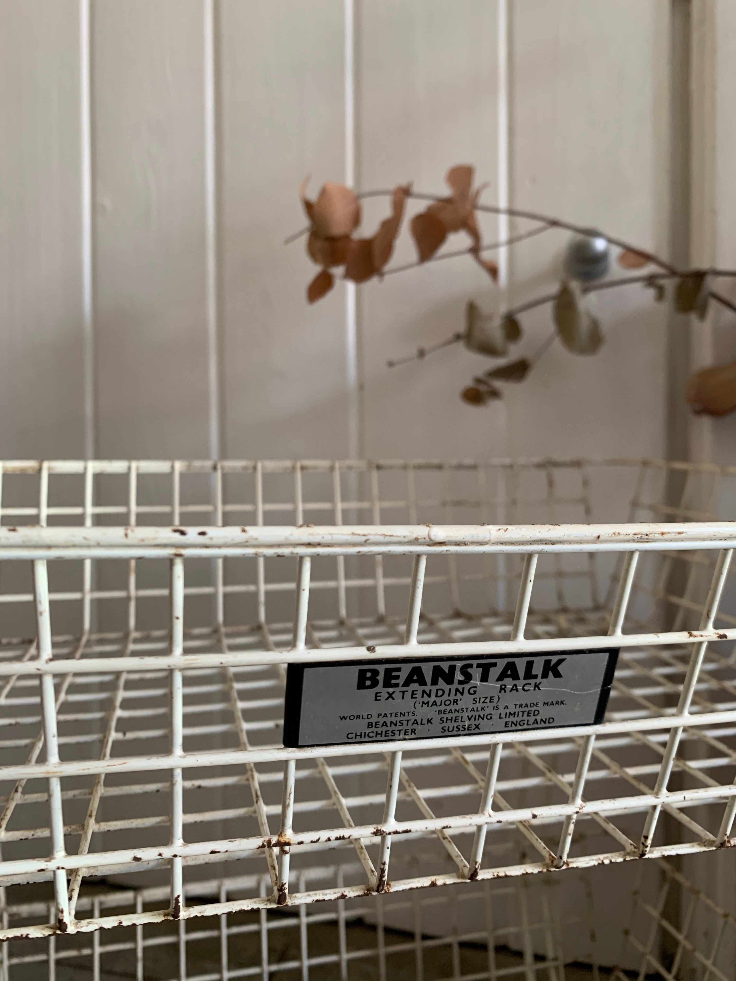 Vintage Beanstalk Extending Wire Rack
