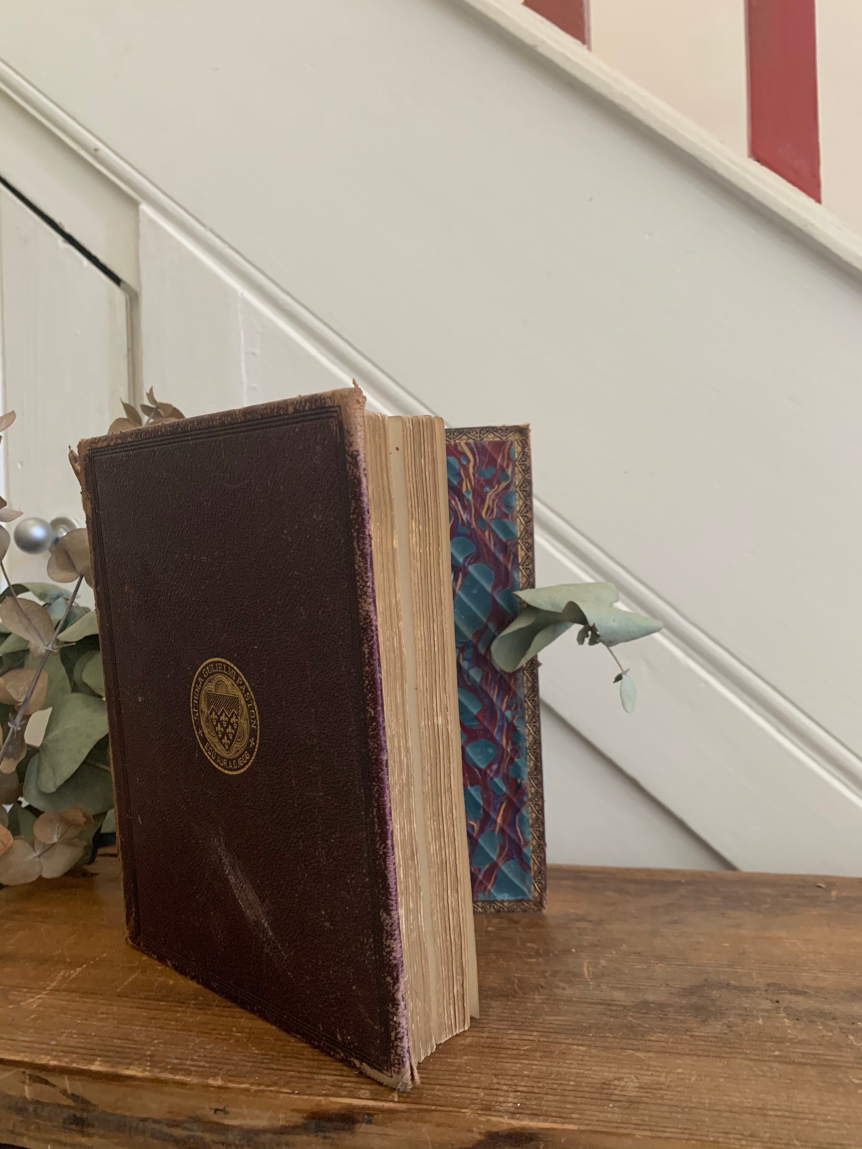 Old Leather Book: The World at Home