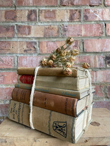 Neutral Hues Book Bundle with blue and red detail
