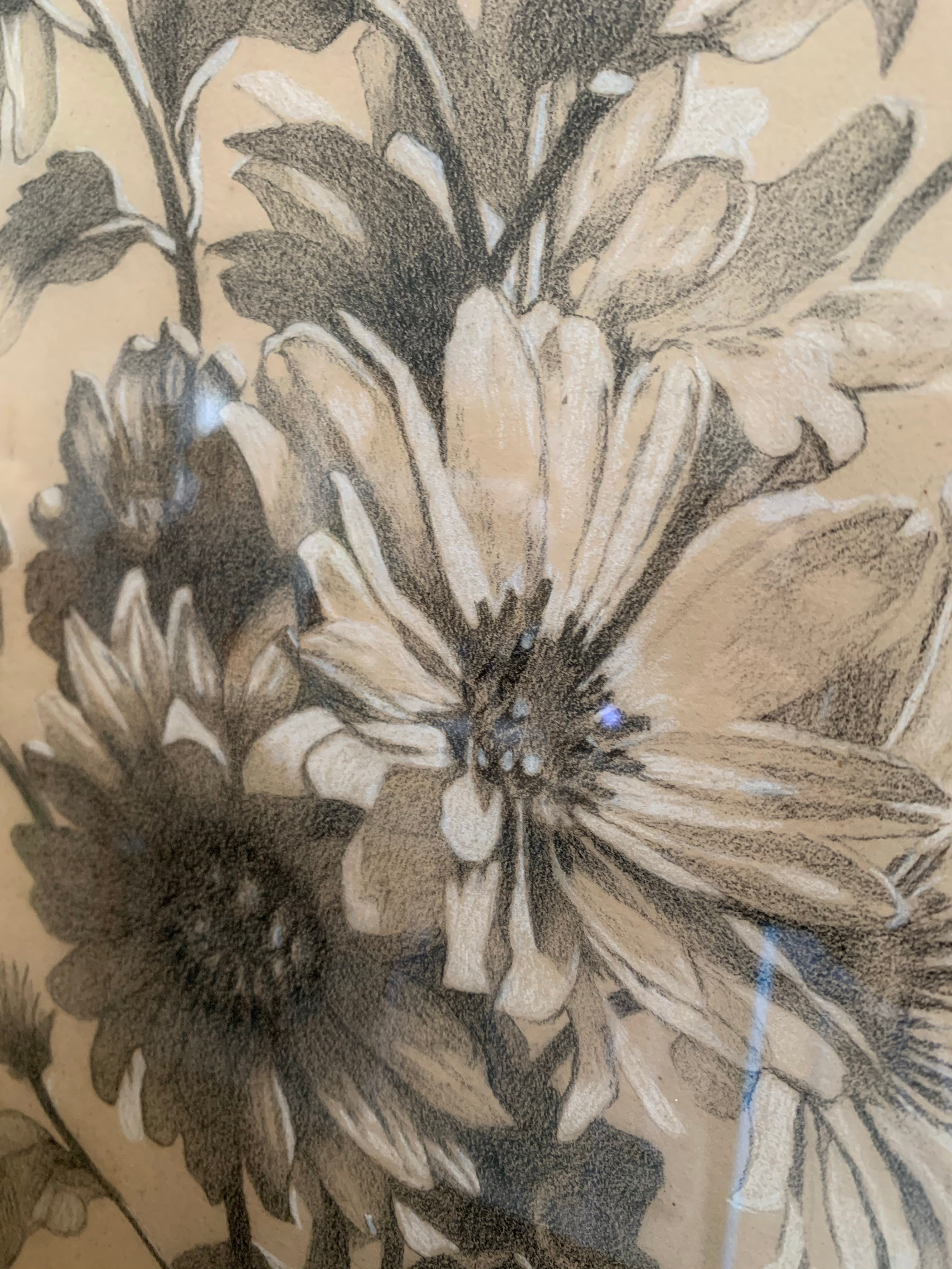 Antique Pencil Drawing of Botanical Flowers