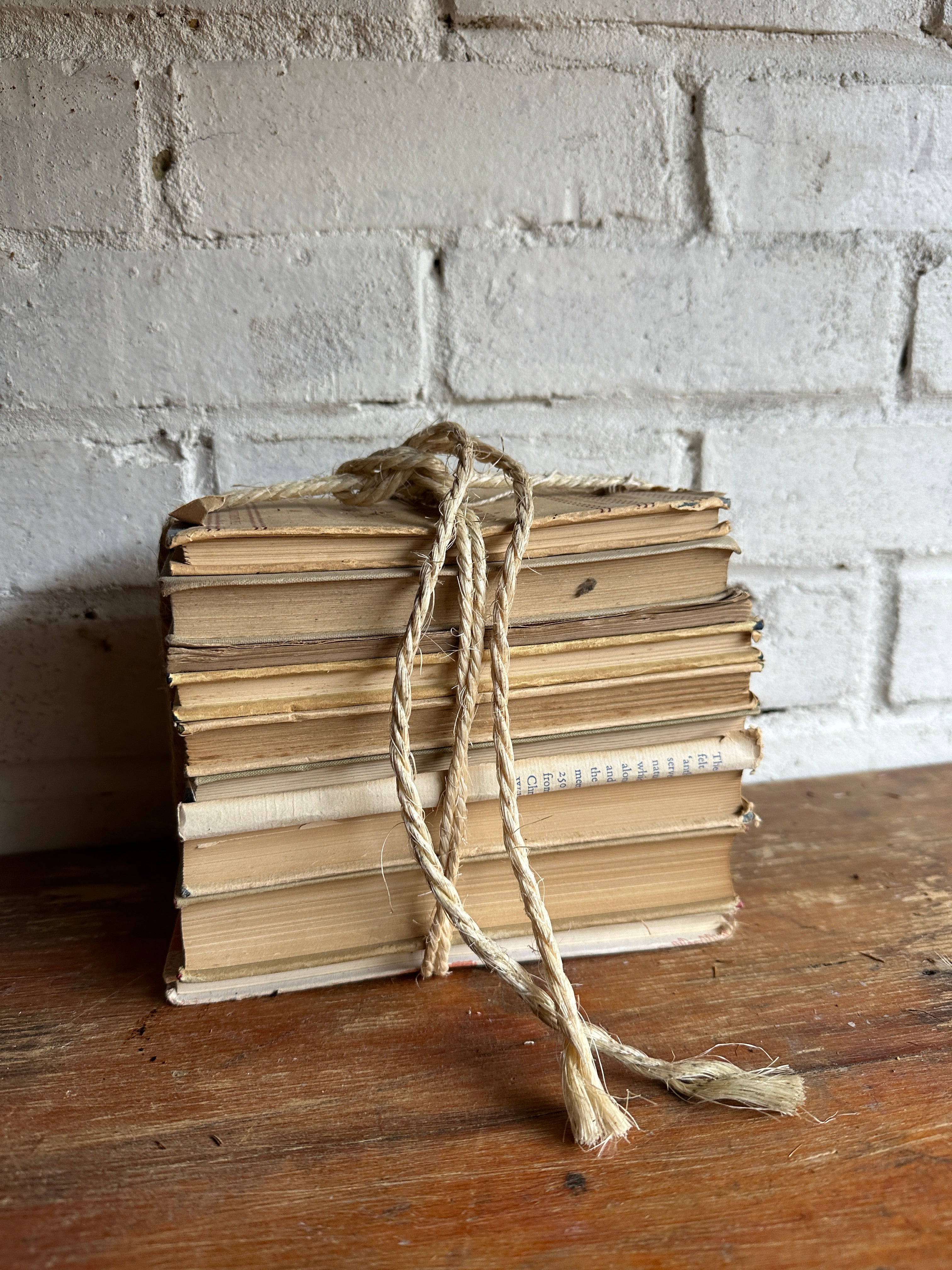 Beige Book Bundle