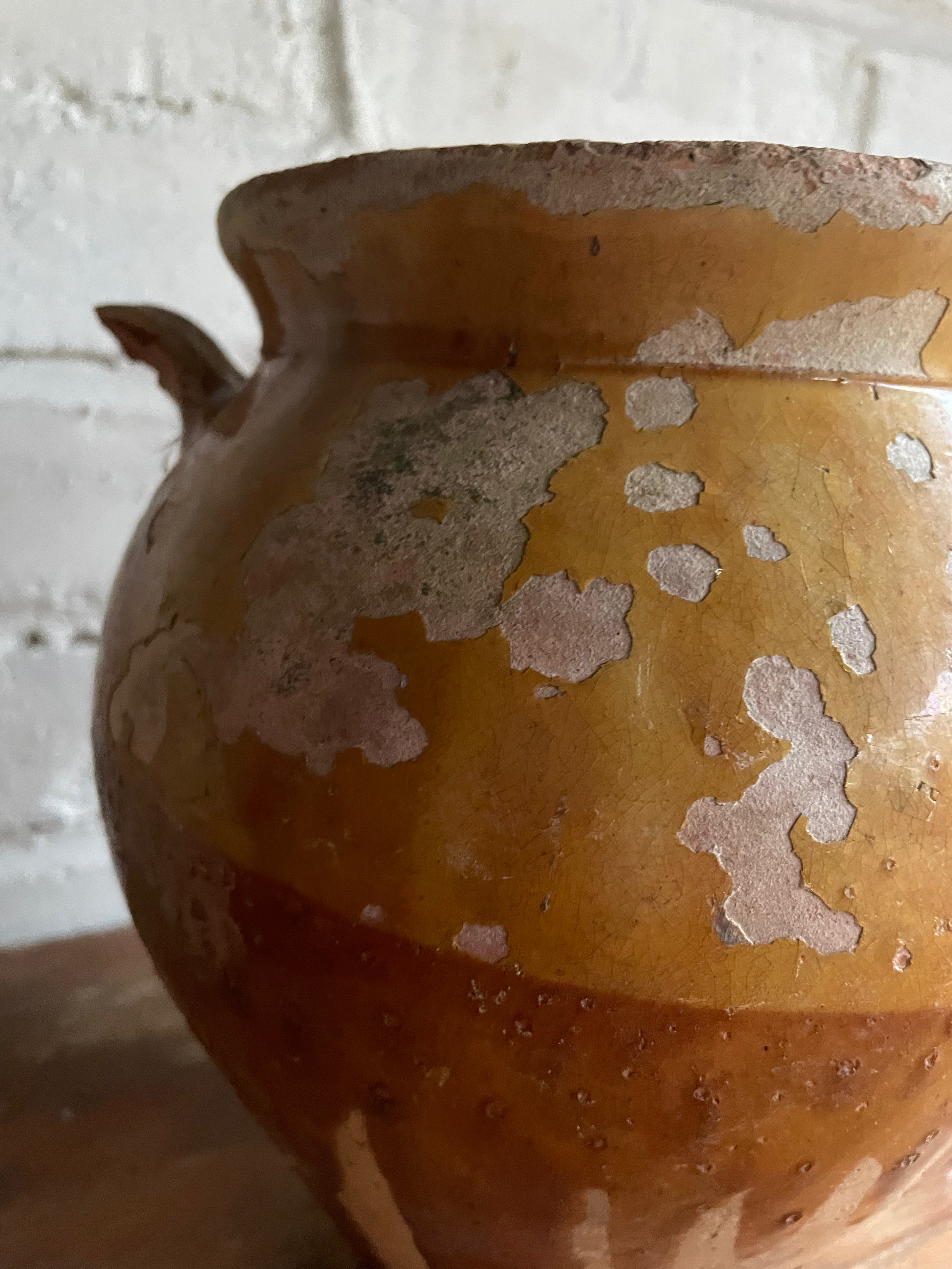 Small 19th Century French Yellow Confit Pot