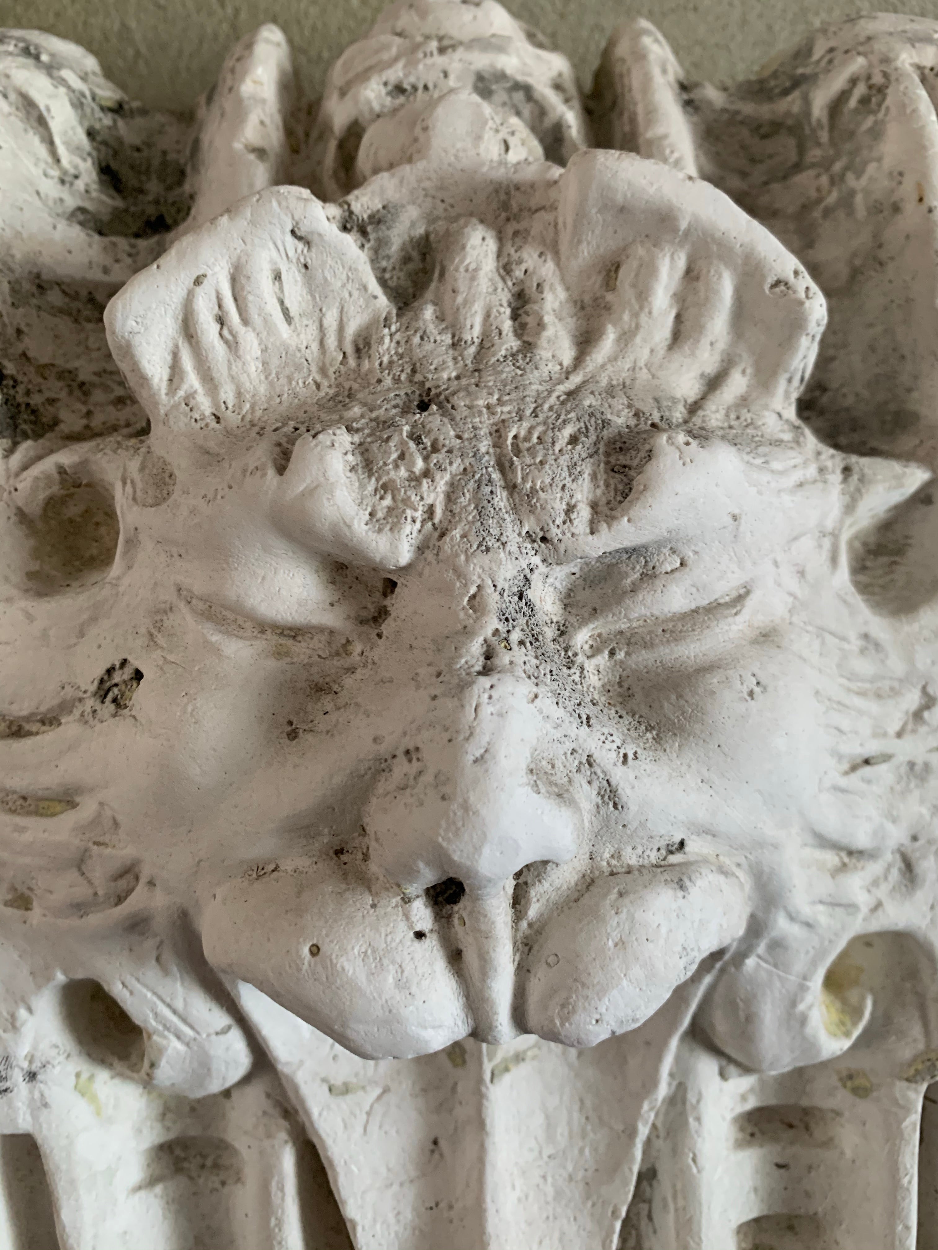 Salvaged “Lions Head” Plaster Mold