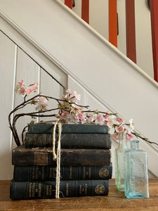 Black Book Bundle with gold detail