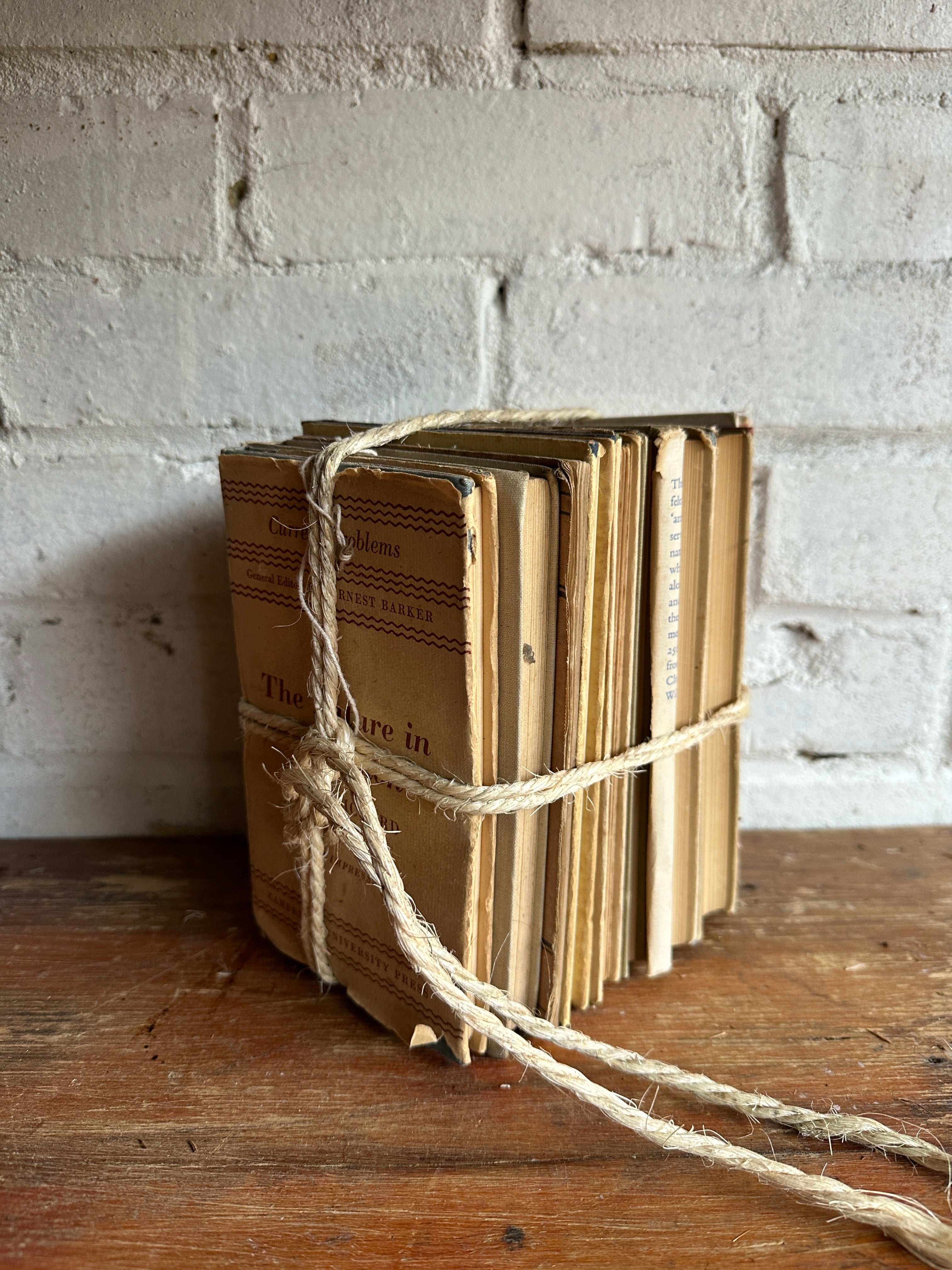 Beige Book Bundle