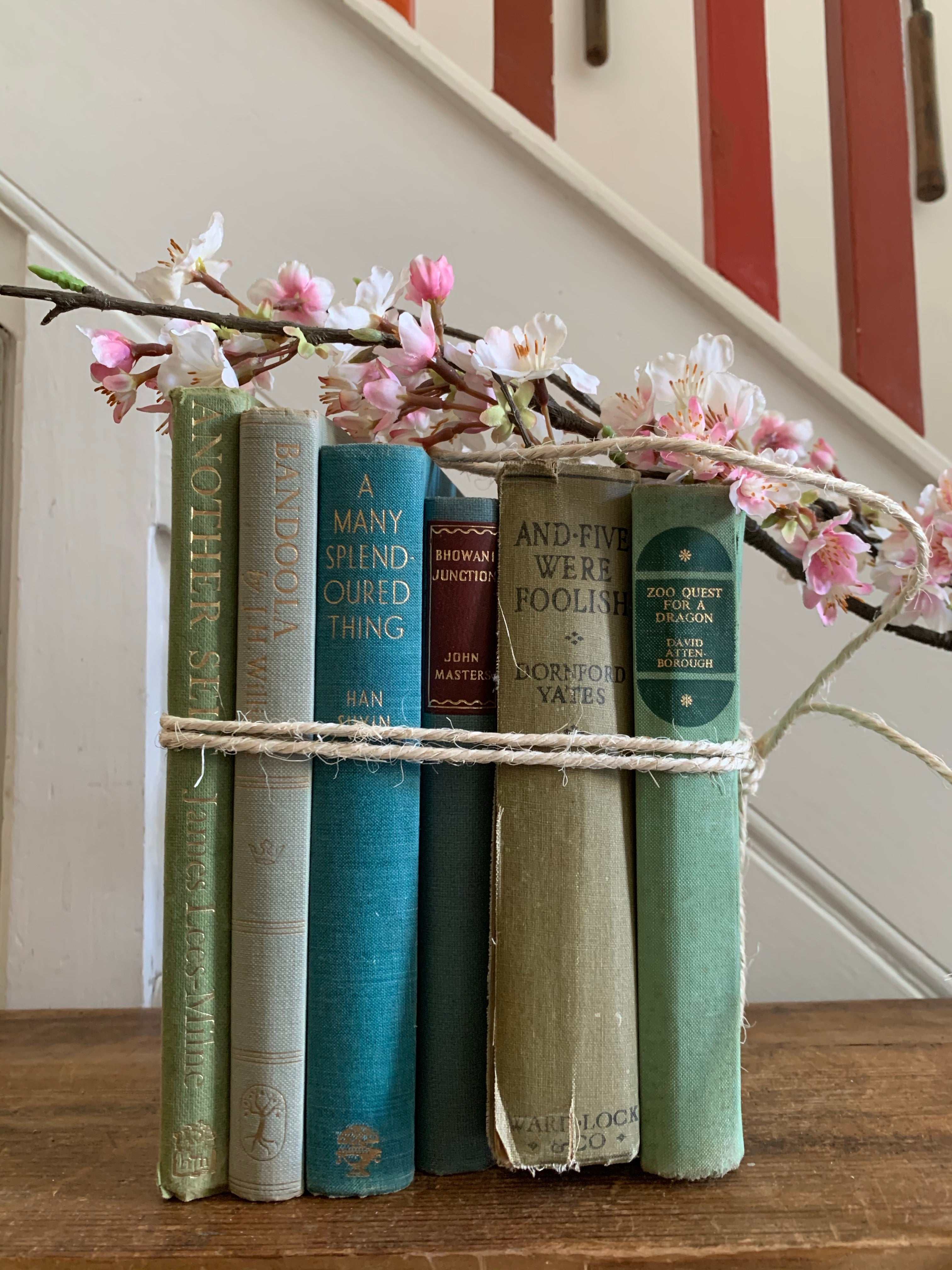 Green & Blue Book Bundle