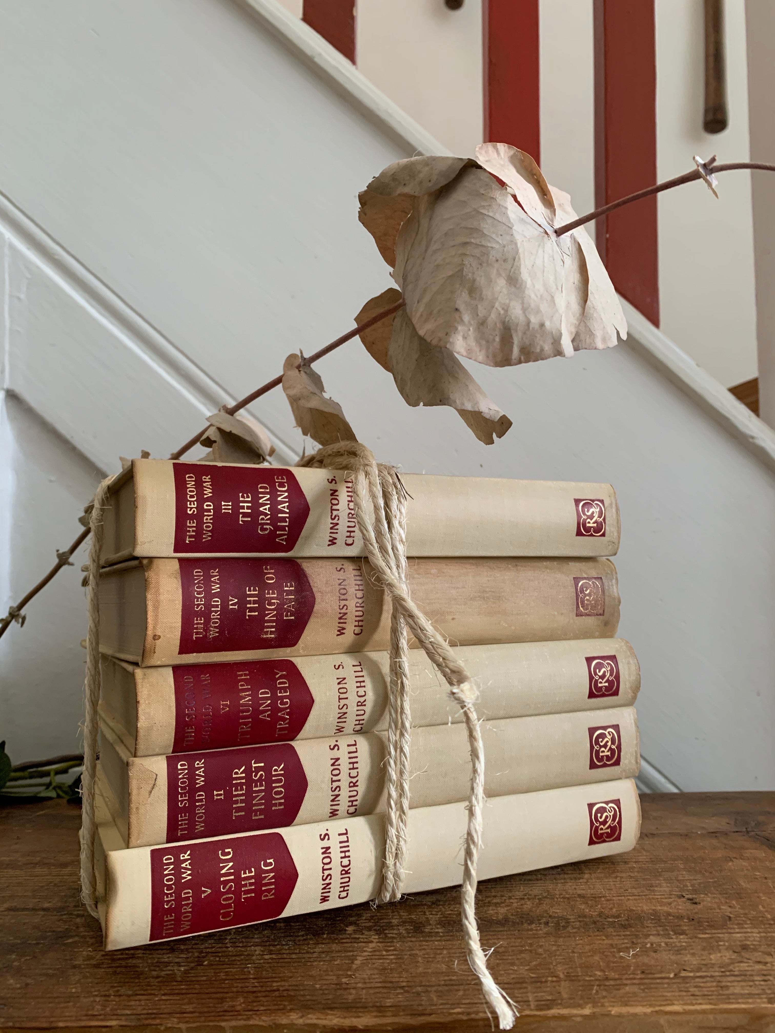 Cream & Red Book Bundle