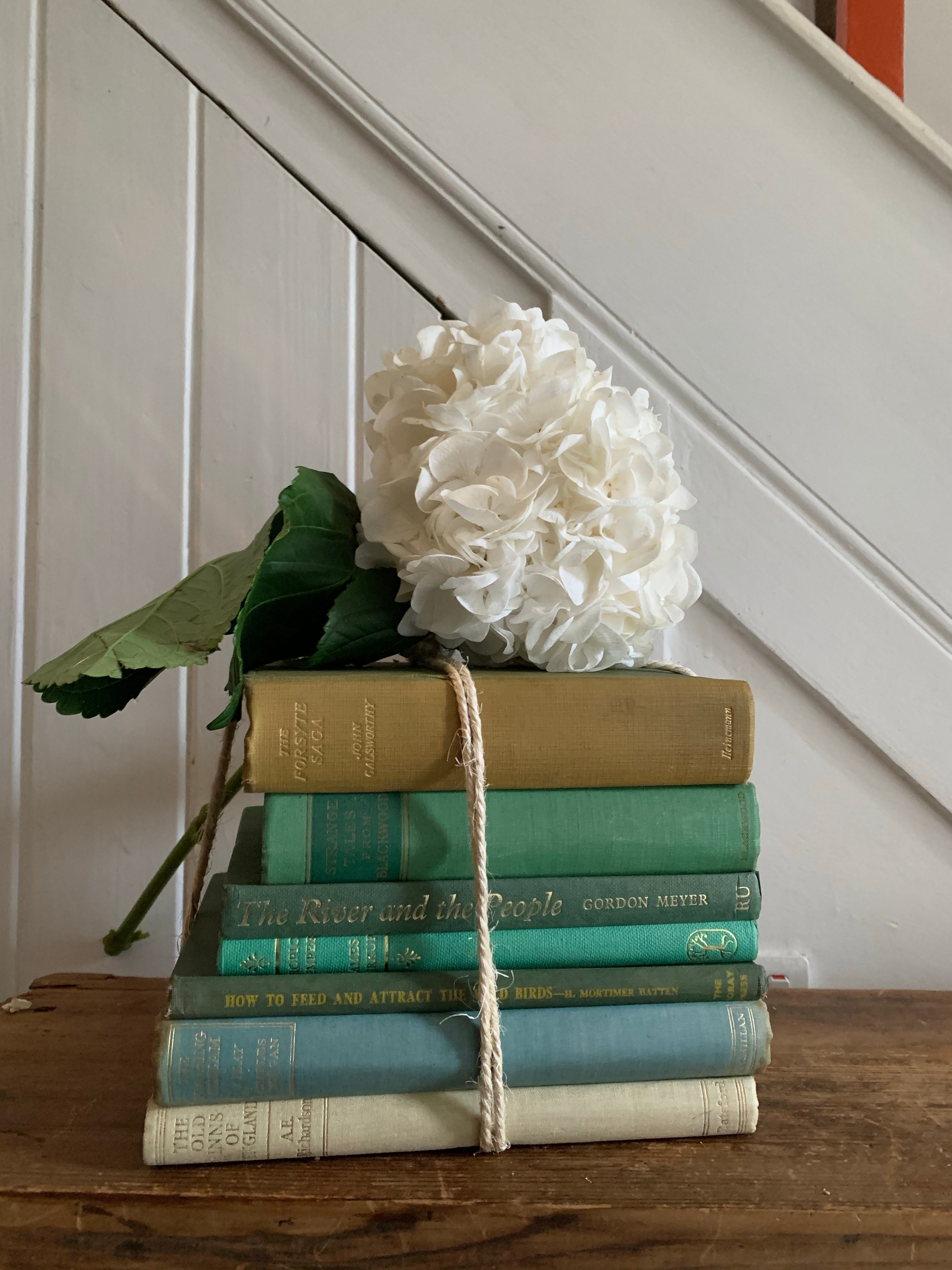 Shades of Green Book Bundle