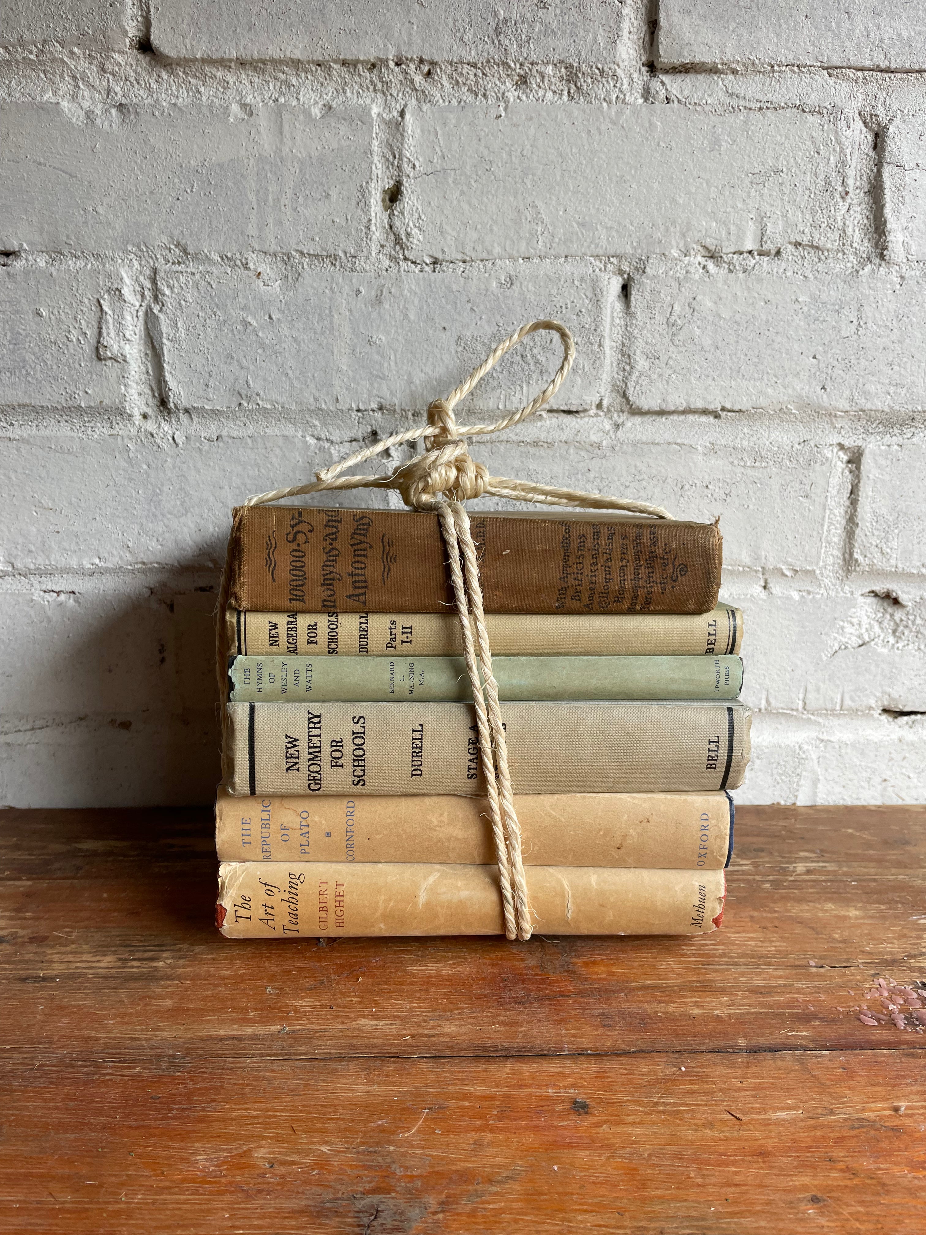 Beige Book Bundle