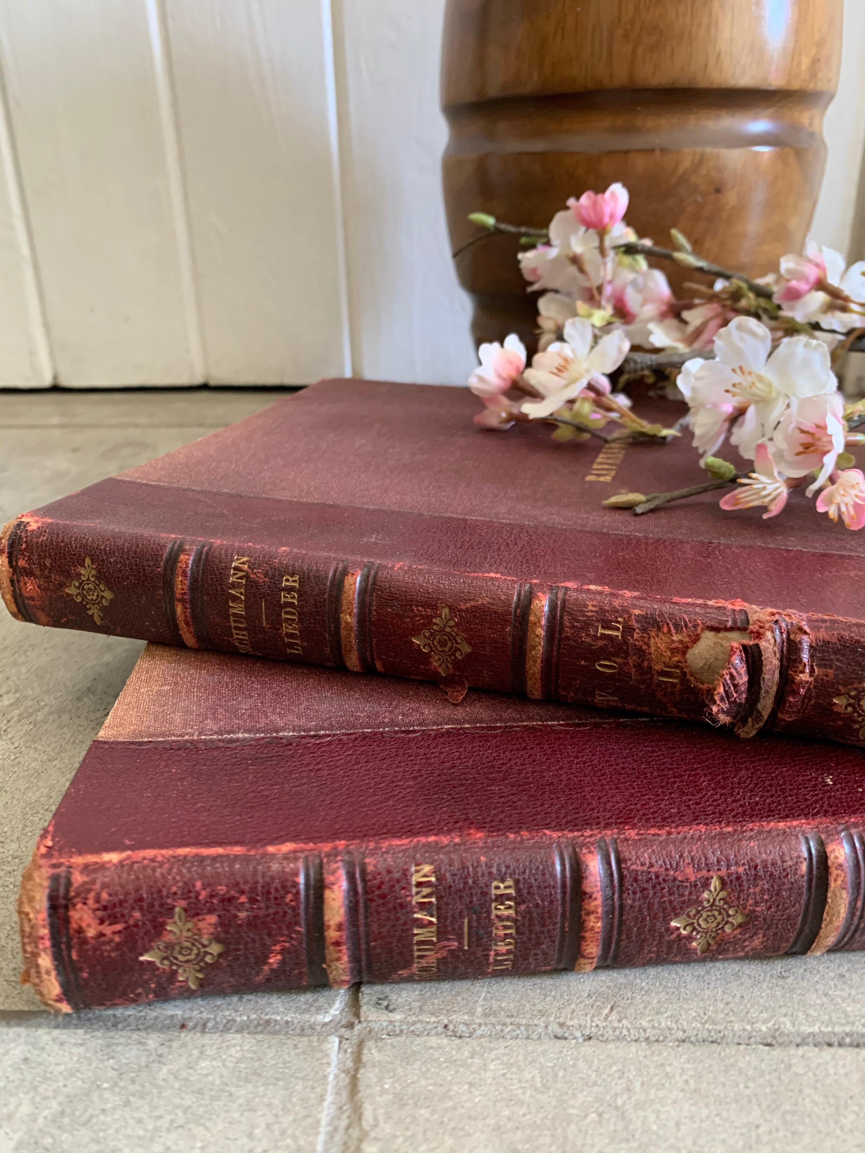 Burgundy Book Bundle with Leather Spines
