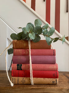 Red Book Bundle 1